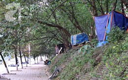 Sốc: Phát hiện 3 hộ gia đình sống trên cây giữa Thủ đô