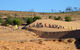 300 người thi chạy vượt đồi cát Mũi Né