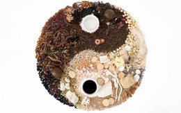 Hóa giải những bệnh dễ mắc năm Quý Tỵ