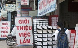 Lao động Tết, kiếm 1 triệu/ngày