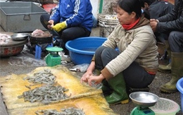 Mở hàng đầu năm, tôm, cá hét giá 'trên trời'