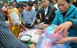 Giá thịt trâu chọi đắt cắt cổ 3 triệu đồng/kg vẫn chen nhau mua