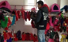 Chi hàng triệu đồng để mặc váy, đi giày, đánh răng cho... chó