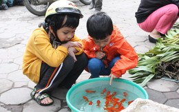 'Cúng ông Công ông Táo không cầu phú quý no đủ'