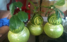Tiền triệu mua quả lạ về trưng Tết