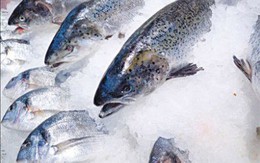 Cách hay để chọn đồ đông lạnh chuẩn