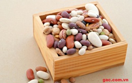 Những "lò đốt" mỡ thừa siêu hạng