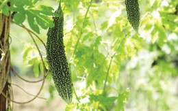 Dọn nhà để đón tài lộc trong năm mới