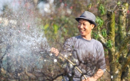 Bắc Bộ: Tiếp tục nắng ấm trong 1 - 2 ngày tới