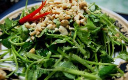 Những món gỏi ngon không ngấy