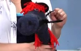 Làm một chú ngựa bông cho bé