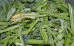 Ngon miệng với ngọn bí trộn