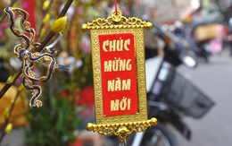 Hà Nội bắt đầu nhộn nhịp sắm Tết