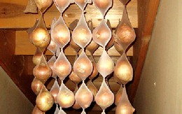 Mẹo bảo quản rau củ quả