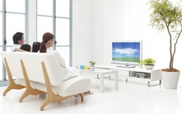 Con dậy thì sớm vì bố mẹ thích xem phim lãng mạn