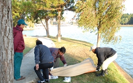 Thi thể cô gái nổi trên hồ Xuân Hương