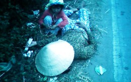 Mẹ giả chờ chết để con nhỏ xin tiền người đi đường