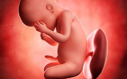 7 điều nên làm để ngừa dị tật bẩm sinh cho thai nhi