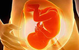 Phát hiện gen có liên quan với thai chết lưu