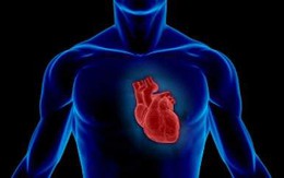 Tìm thấy gene làm "tan nát" trái tim