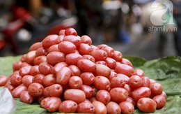 6 thứ quả chua mê mẩn chị em