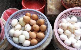 Bệnh tiềm ẩn do ăn phải trứng gà nhiễm kháng sinh