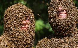 "Sởn gai ốc" xem hơn 16000 con ong đậu trên cơ thể