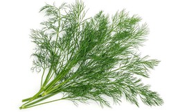 Công dụng chữa bệnh của rau thìa là
