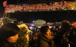 Cận cảnh nghìn người đi mua hoa Tết lúc nửa đêm ở Hà Nội