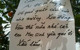 Cảnh báo cực lạ của nhà trường khi Tết về