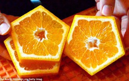 Kỳ lạ những quả cam hình ngũ giác có một không hai