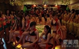 Tuyển "gái bao" cho đại gia gắt gao như thi hoa hậu