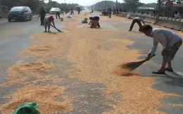 Xe chở ngô đổ ra đường, người dân ào ra hôi của