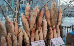 Ăn đặc sản cá sống đông lạnh ở Nga
