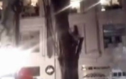 Cô gái leo lên cây nhảy múa náo loạn đêm giao thừa