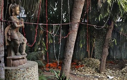 Nghi phạm hiếp dâm du khách ở Ấn Độ bị bắt giữ