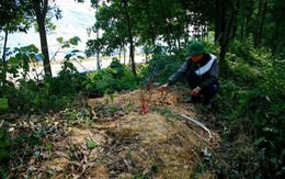 Những hài nhi bị vứt bỏ ở bãi rác Nam Sơn
