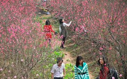 3 ngày Tết: nắng hửng, mưa xuân, không rét đậm