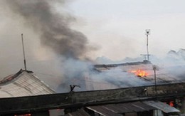 Hàng trăm cây vàng bị cháy, người dân đổ xô đi "hôi của"?