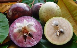 Vú sữa: Bà bầu đừng bỏ qua!