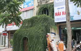 Sốc với những ngôi nhà kỳ dị nhất Hà Thành