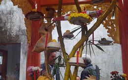 Độc và lạ: Gà đứng, gà bay trên mâm cỗ cúng