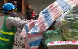 Hà Nội: Sau Tết, cả ngàn bánh chưng vào... thùng rác