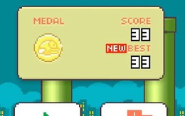 Cha đẻ Flappy Bird sẽ bị truy thu khoảng 10 tỷ đồng tiền thuế?