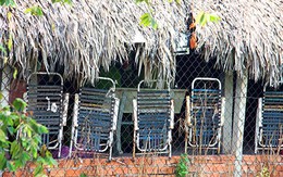 Đâm chết rồi cắt tai người tình do mâu thuẫn tình ái