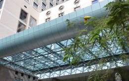 Một người nước ngoài rơi từ tầng 20 khách sạn Sheraton