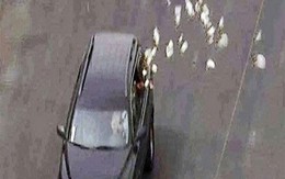 Lái Innova rải tiền 3 km đêm giao thừa