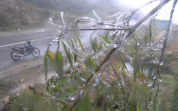 Sa Pa “đông cứng” trong giá lạnh 1 độ C