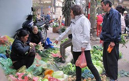 Rau sau Tết giảm giá, hàng ăn đắt gấp đôi