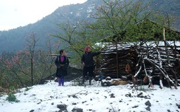 Ngắm Sa Pa đẹp "tinh khôi" trong tuyết trắng